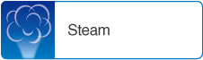 Steam